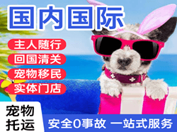 海口美兰空运代理国际宠物托运 【国